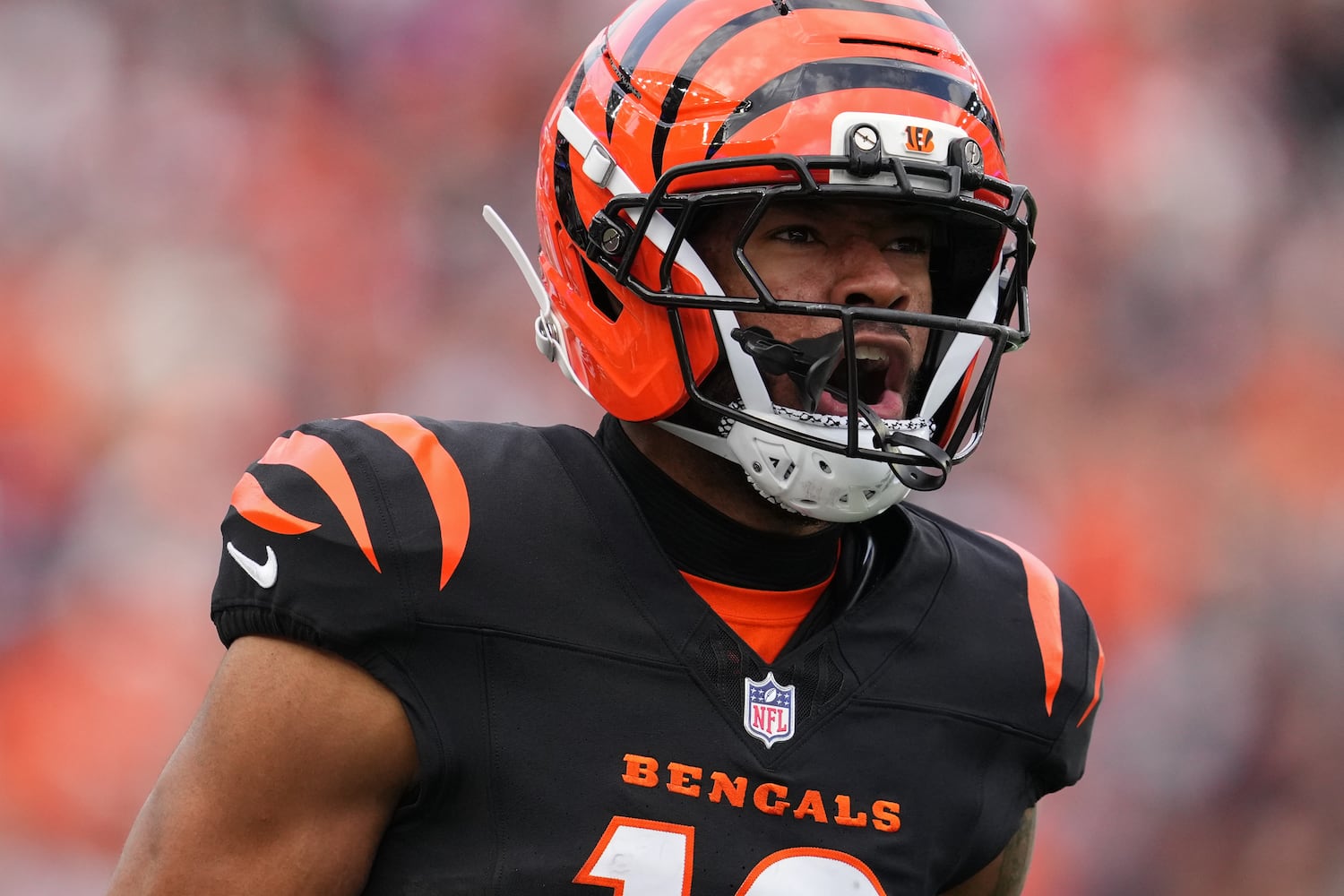 Cardinals Bengals Football