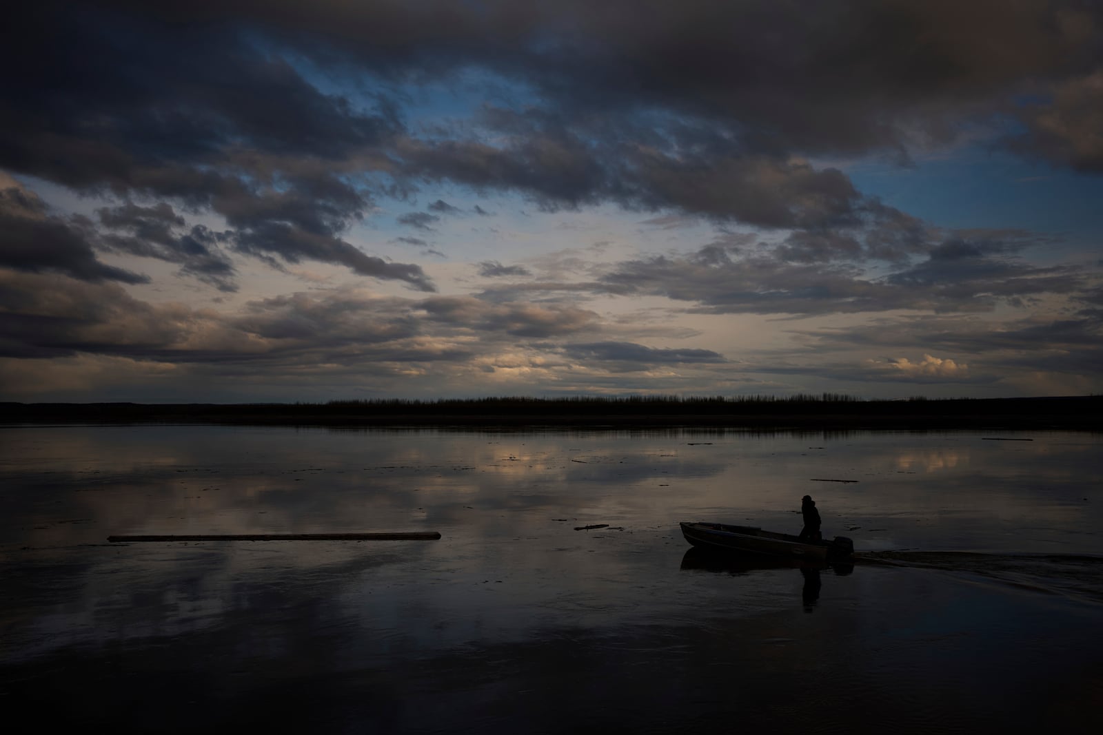 Jake Pogrebinsky collects a log floating down the Yukon River to be used for firewood or construction Tuesday, May 20, 2025, in Galena, Alaska. (AP Photo/John Locher)