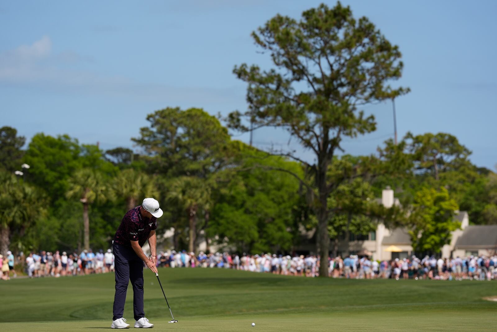Taylor Pendrith, of Canada, putts on the 16th green during the second round of the RBC Heritage golf tournament, Friday, April 18, 2025, in Hilton Head Island, S.C. (AP Photo/Mike Stewart)