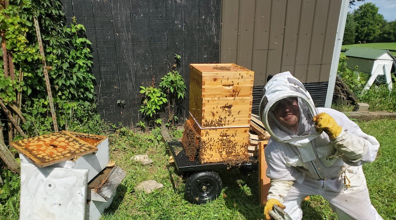 The honeybees managed by Hive Noon affect an area of 1.28 million acres across the Dayton and Cincinnati region. Chris Alvarado, pictured, started the company in 2021. CONTRIBUTED