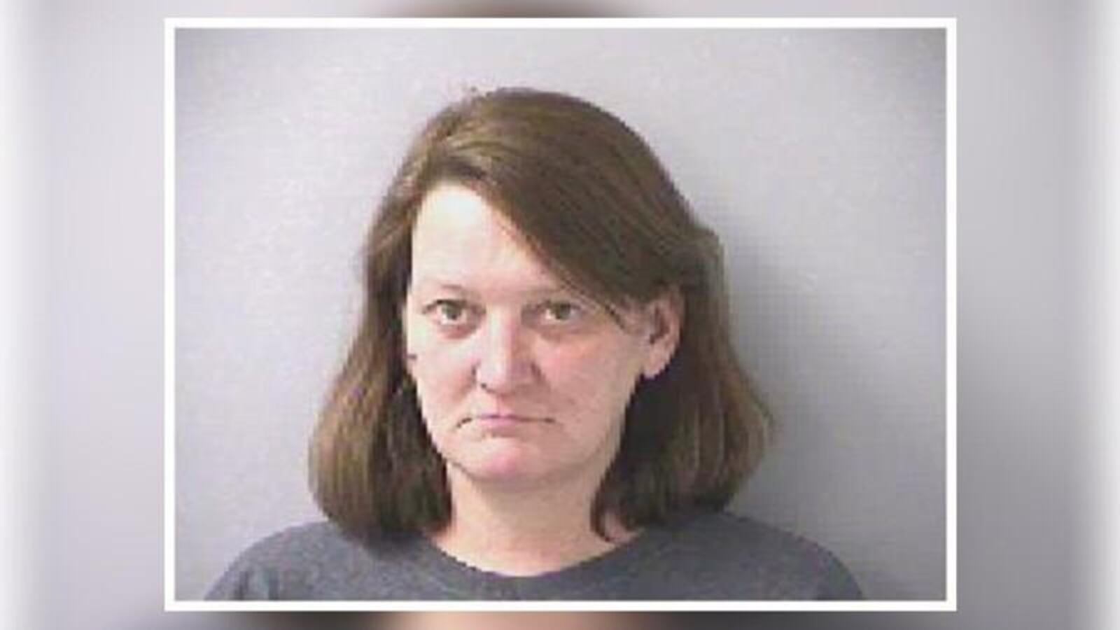 Melissa Damico pleaded guilty to seven misdemeanor counts of animal cruelty.