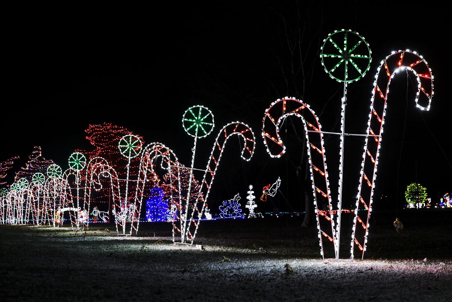 121124 Light Up Middletown