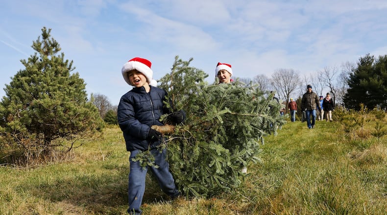 From November 2023: Micah Gotz, 7, and Cana Gotz, 10, carry their freshly cut family Christmas tree at Berninger Christmas Trees and Wreaths in Turtlecreek Twp. NICK GRAHAM/STAFF