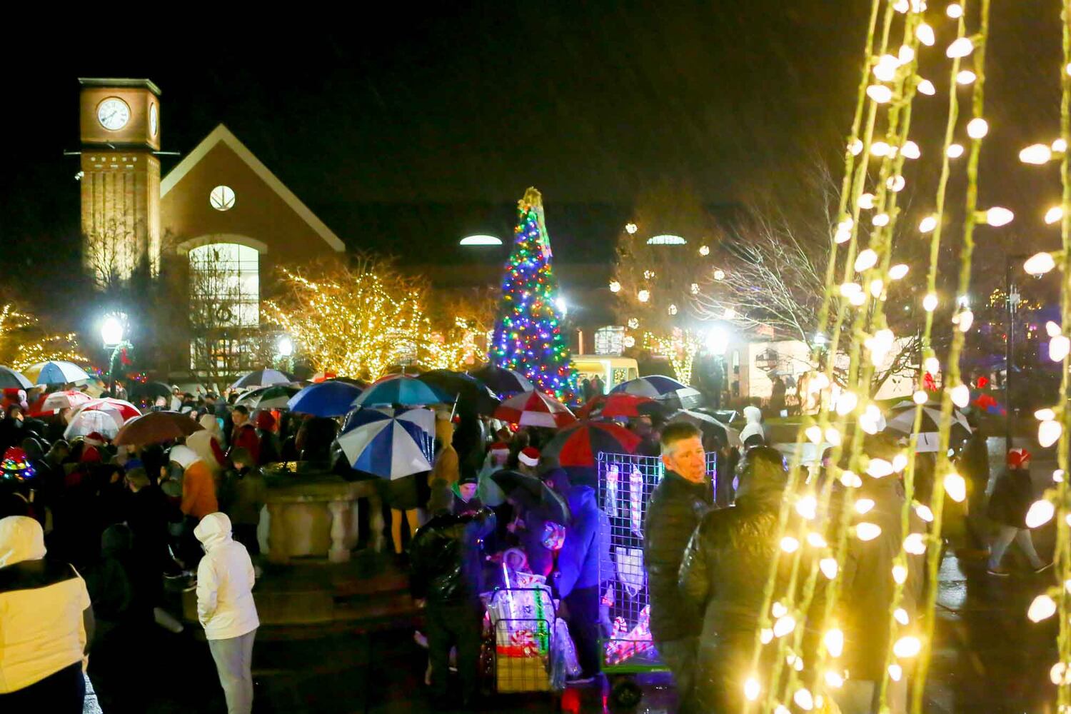 PHOTOS Fairfield Parade of Lights
