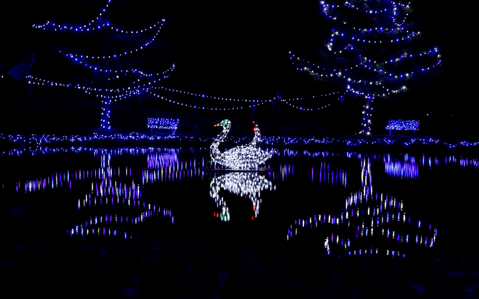 111622 Pyramid Hill lights