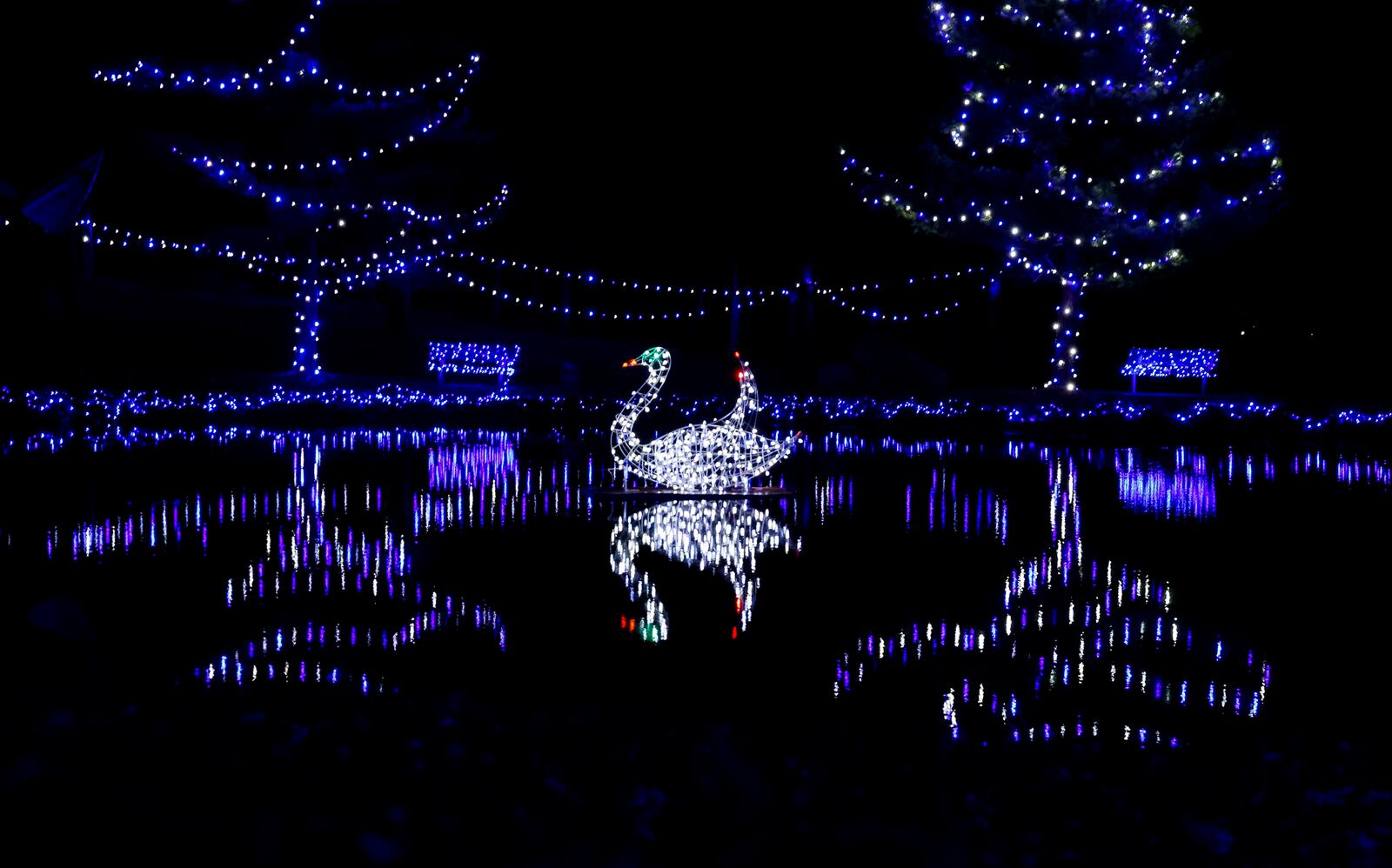 The 2022 “Journey Borealis: A Journey to the North Pole” drive through holiday light display will run through New Year’s Day at Pyramid Hill Sculpture Park & Museum. Tuesdays are free for Hamilton residents. Regular admission prices per carload for Journey Borealis are $15 every night for Pyramid Hill members. Non-members are $25 per carload. For more details, or to purchase a membership, visit www.journeyborealis.com. NICK GRAHAM/STAFF