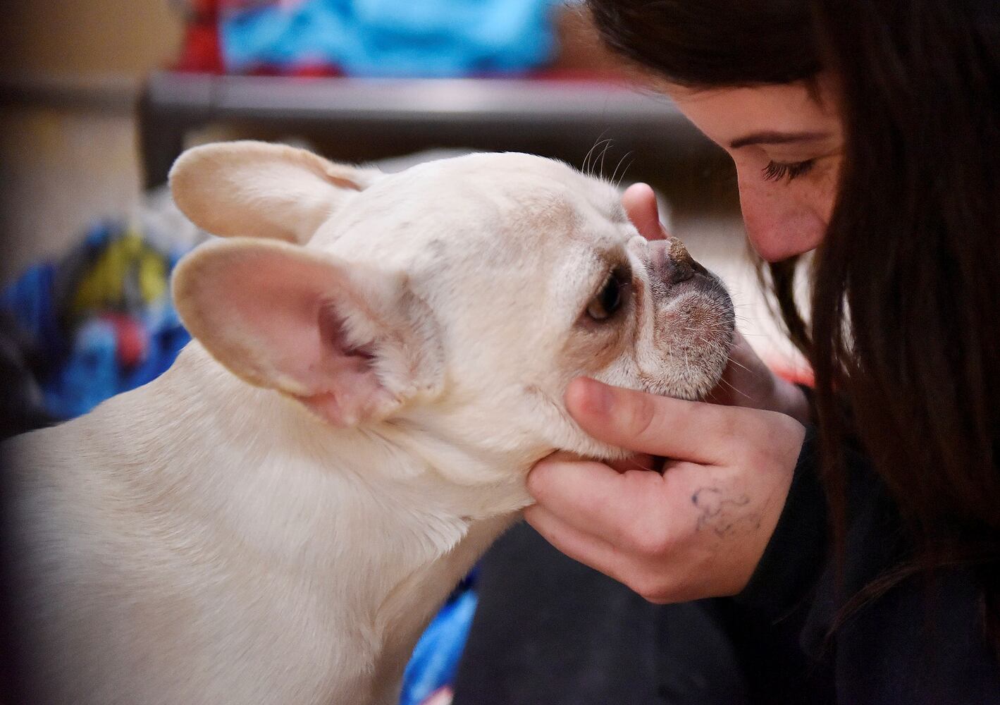 West Chester Pet Resort