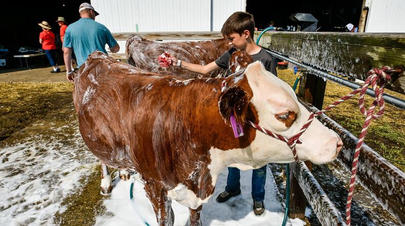 Scenes from the Butler County Fair Wednesday, July 24 in Hamilton. NICK GRAHAM/STAFF