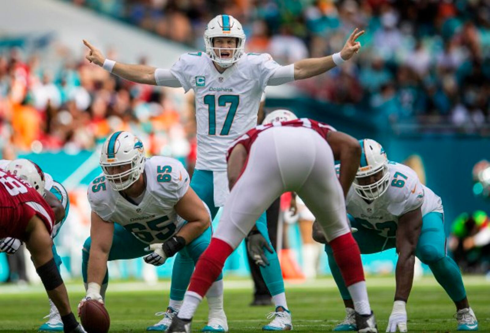 Miami Dolphins quarterback Ryan Tannehill (17), in action against the Arizona Cardinals during NFL game Sunday December 11, 2016 at Hard Rock Stadium in Miami Gardens. (Bill Ingram / The Palm Beach Post)