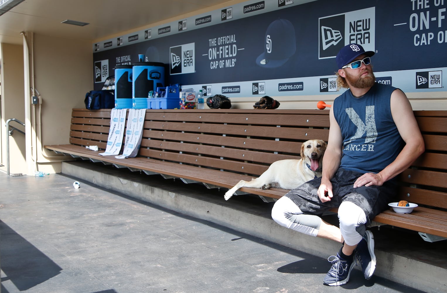 News hounds (7/9/15)