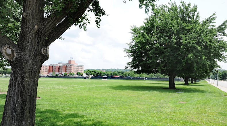 Mature gingko trees grow near the corner of South Main and East Stewart streets near the University of Dayton. MARSHALL GORBY\STAFF