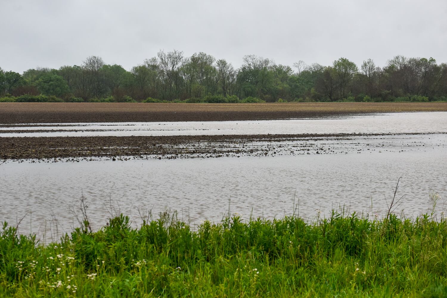 PHOTOS: Heavy rain causes flooding in Butler County