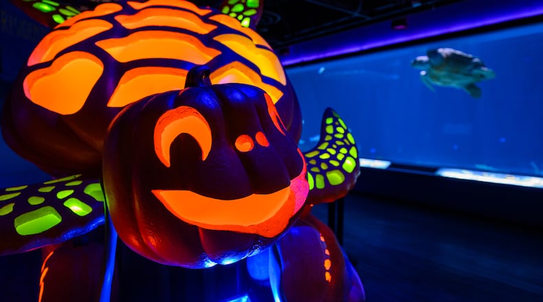 Underwater Pumpkin GLOW at Newport Aquarium starts September 16 and runs through November 3. It’s free with admission or membership reservation.