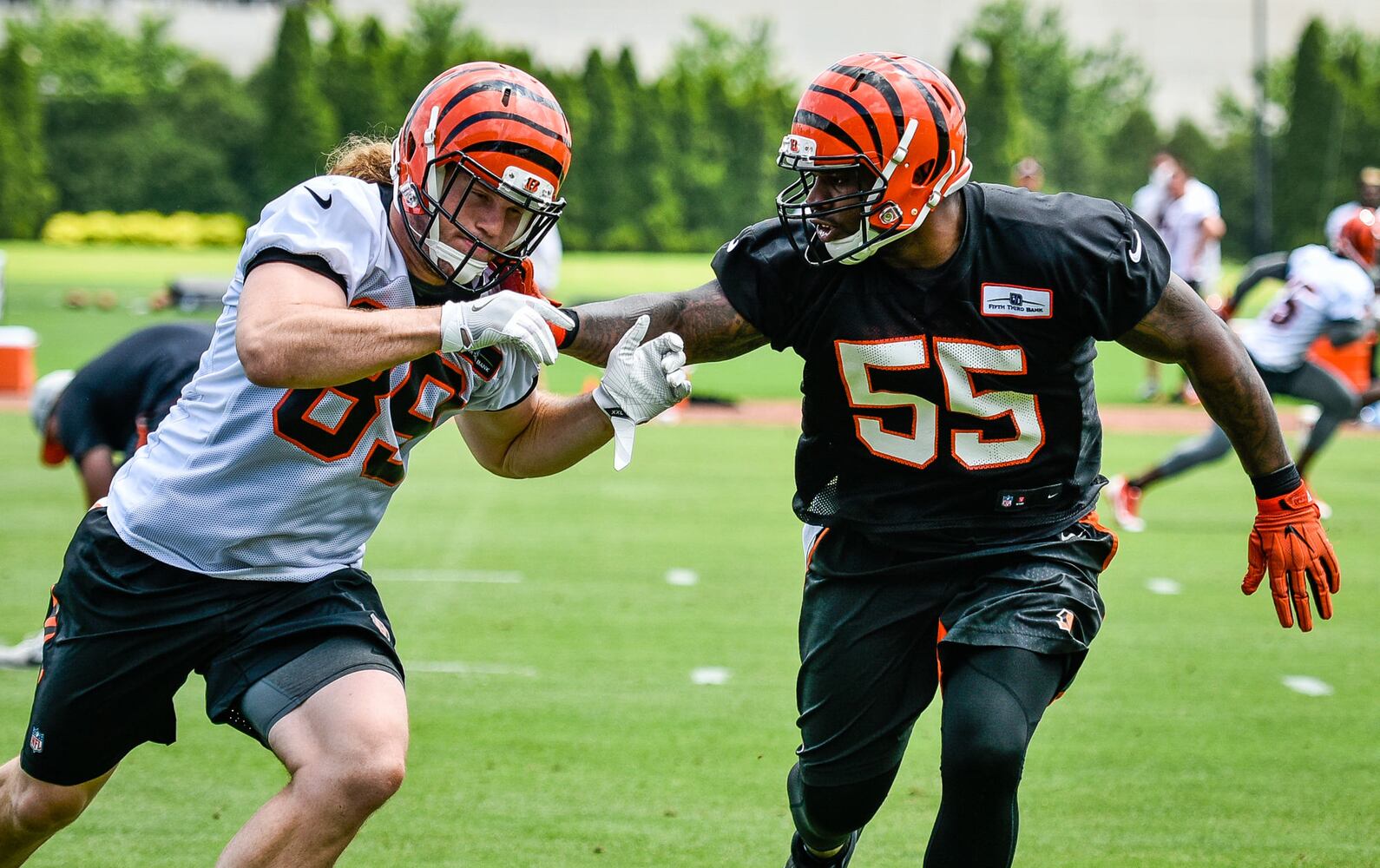 Cincinnati Bengals OTA