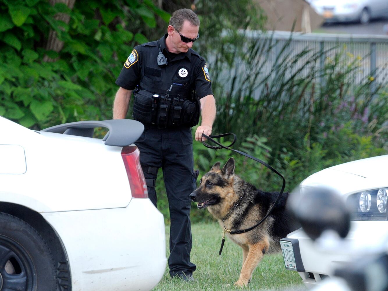 News hounds (9/3/15)