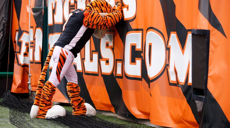 CINCINNATI, OH - NOVEMBER 25:  The Cincinnati Bengals mascot reacts as Cincinnati looses to the Cleveland Browns 35-20 at Paul Brown Stadium on November 25, 2018 in Cincinnati, Ohio. (Photo by Joe Robbins/Getty Images)