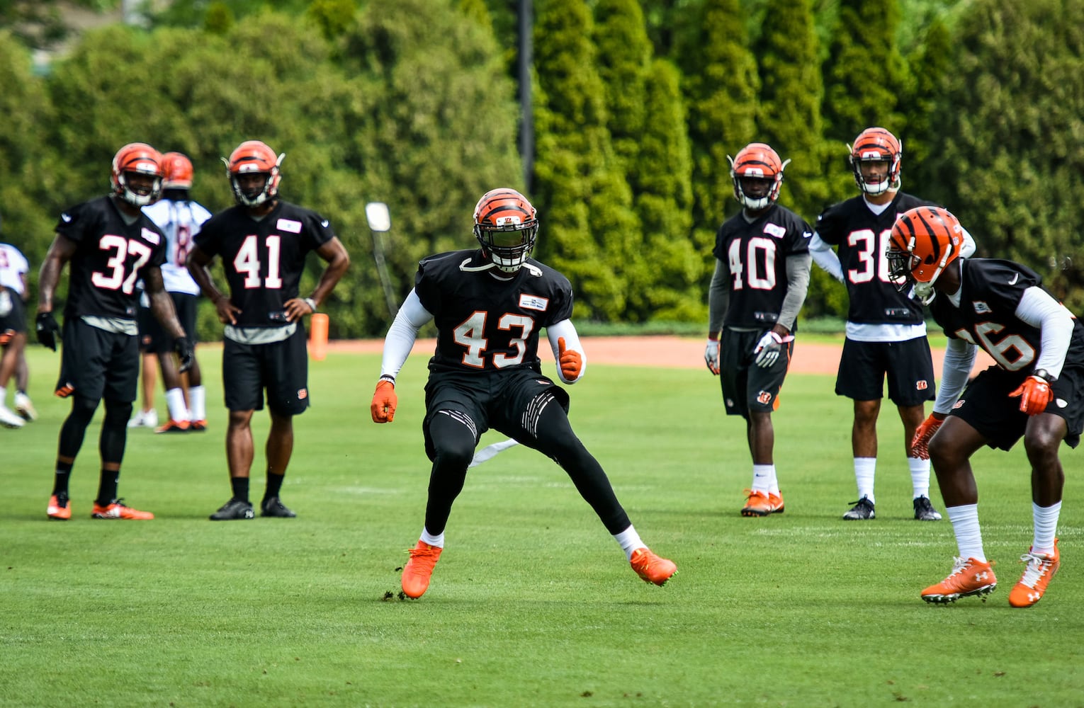 Cincinnati Bengals OTA