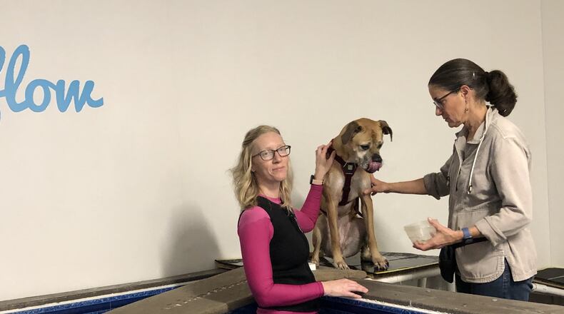 Amanda Jones is certified in small animal hydrotherapy. A handful of area businesses offer this service. STAFF/LAWRENCE BUDD