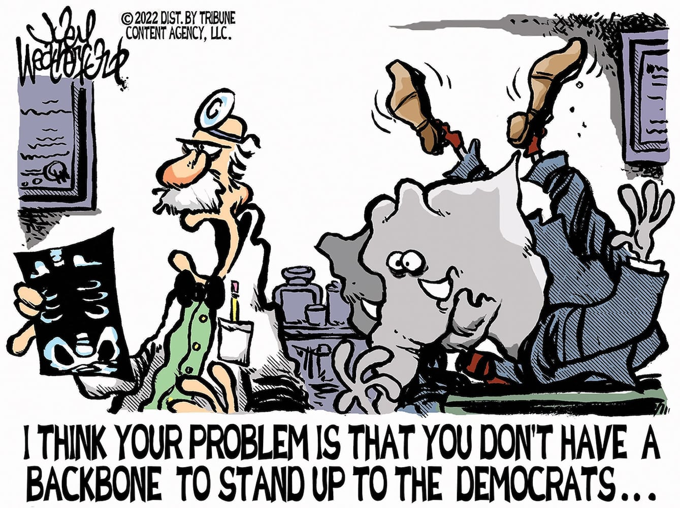 WEEK IN CARTOONS: Buffalo shooting, baby formula shortage and more