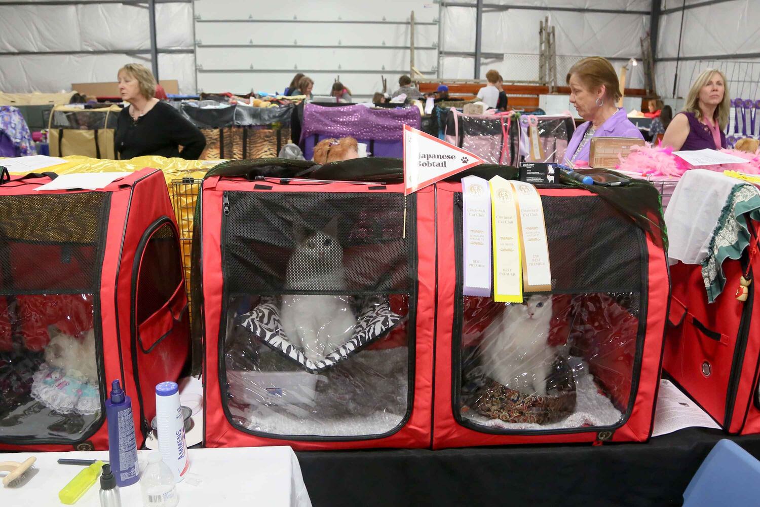 Cat Show at Butler County Fairgrounds