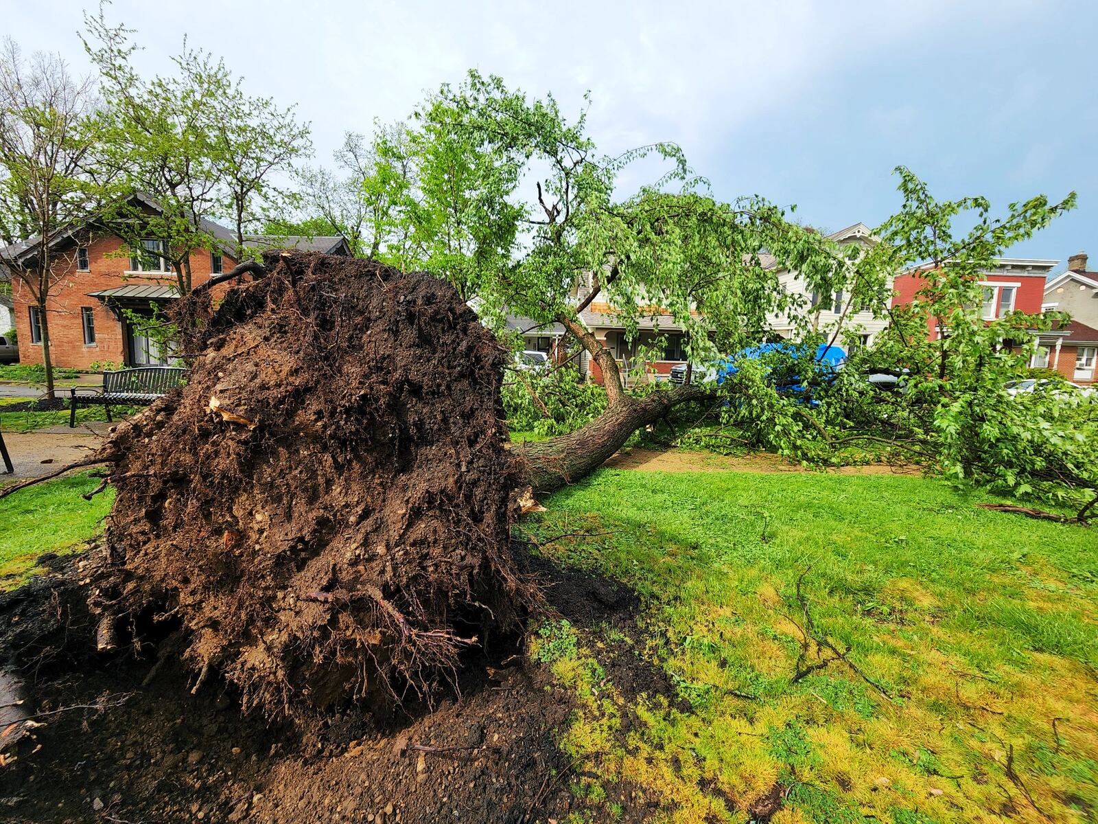 Trees down on Buckeye Street in Hamilton. NICK GRAHAM / STAFF