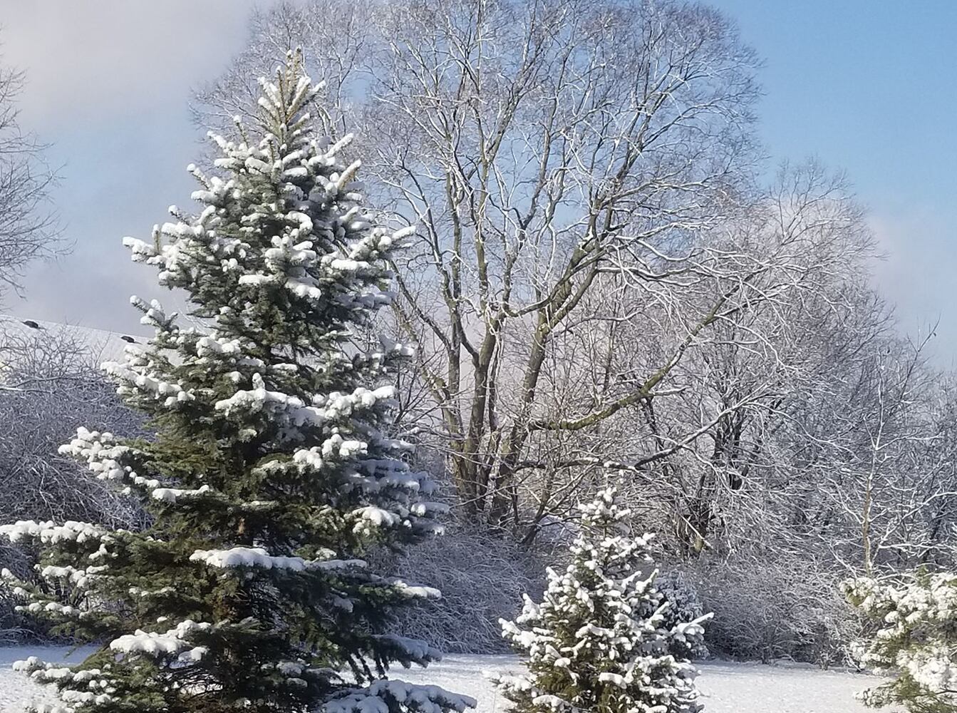 PHOTOS: Miami Valley gets a coating of snow  in April (User-submitted photo)