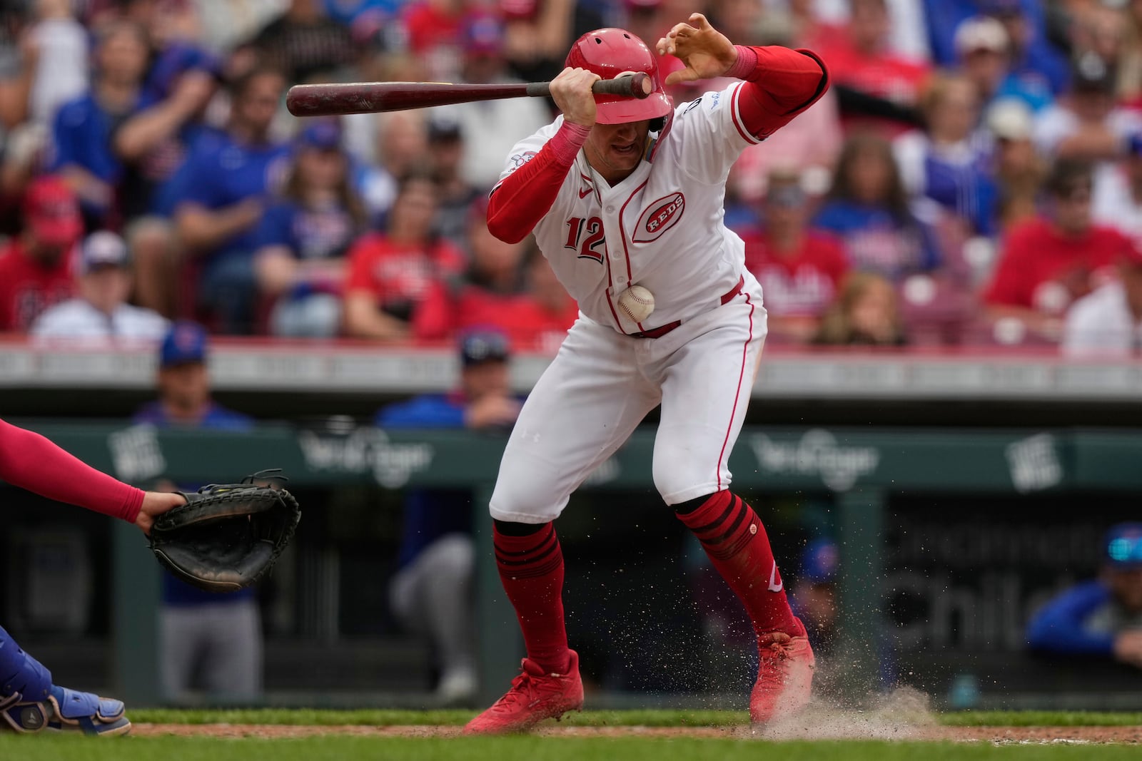 Cincinnati Reds' Austin Hays is hit by a pitch in the seventh inning of a baseball game against the Chicago Cubs, Sunday, May 25, 2025, in Cincinnati. (AP Photo/Carolyn Kaster)