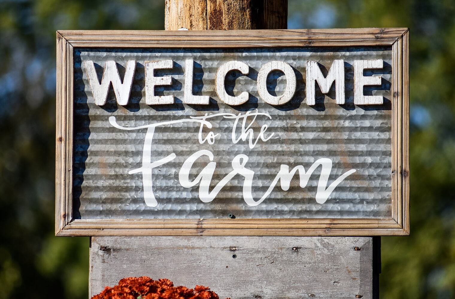 Jackson Family Farm offers visitors a chance to learn about farm life