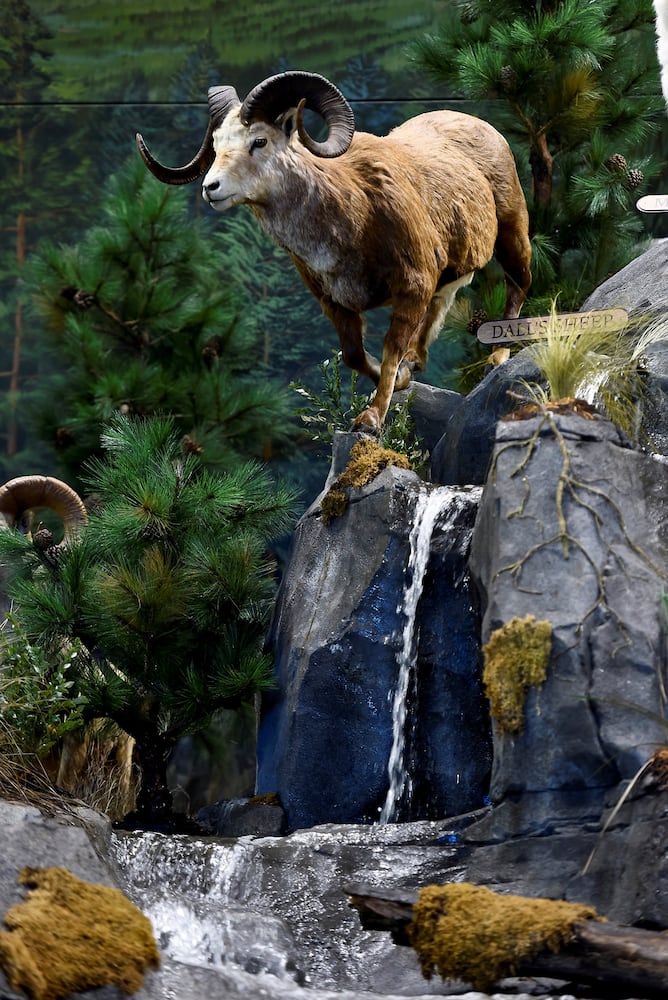 Cabelas tour
