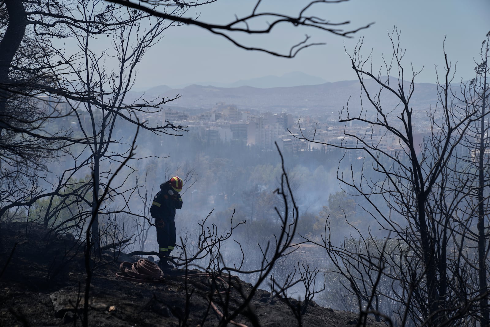 A firefighter stands among burned trees during a wildfire at the Polytechnic University of Athens as the Greek capital is seen in the background, Monday, July 28, 2025. (AP Photo/Thanassis Stavrakis)