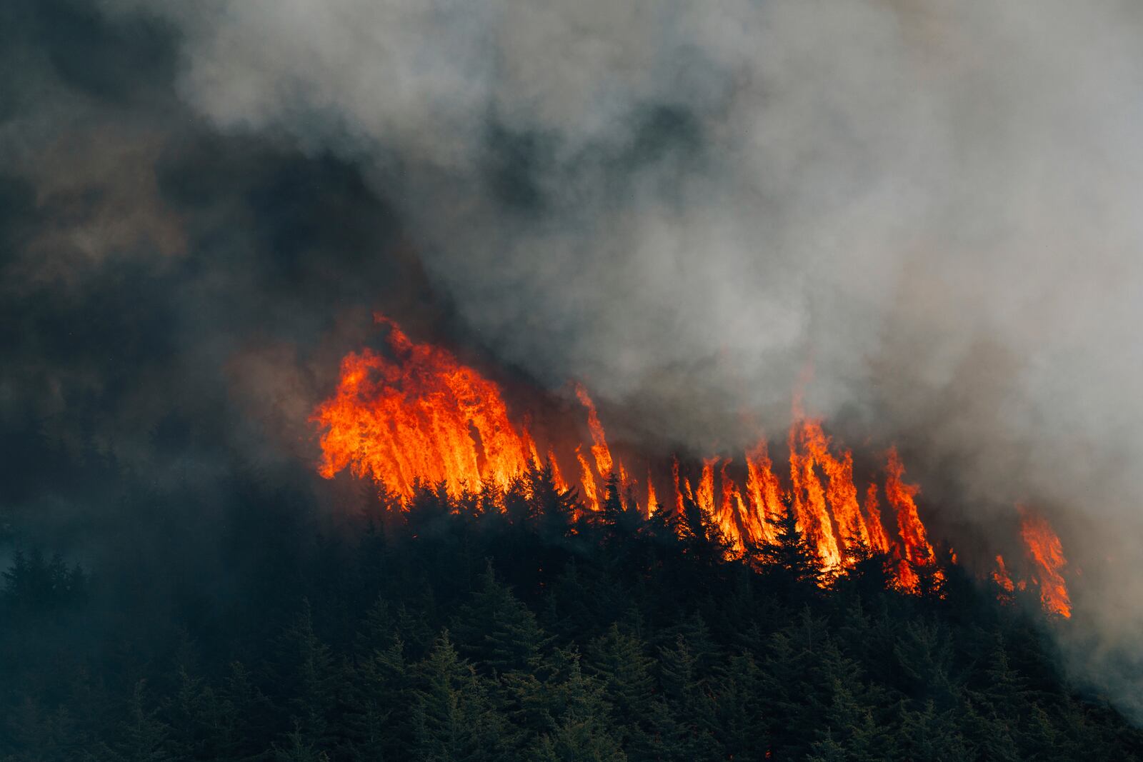 Smoke fills the sky from a wildfire in Ocean County, N.J. on Thursday, April 24, 2025. (New Jersey Department of Environmental Protection via AP)
