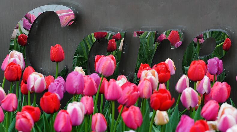 We all care that spring is in the air and flowers are blooming like the ones at the CareSource bulding in downtown Dayton. MARSHALL GORBY\STAFF