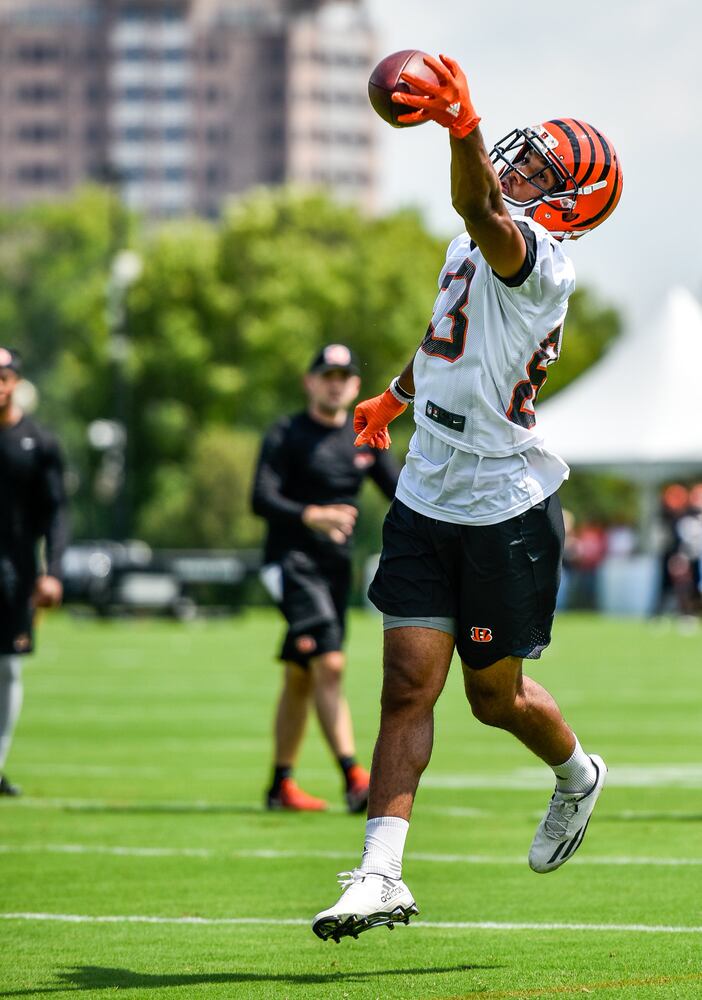 Bengals Training Camp Day 1