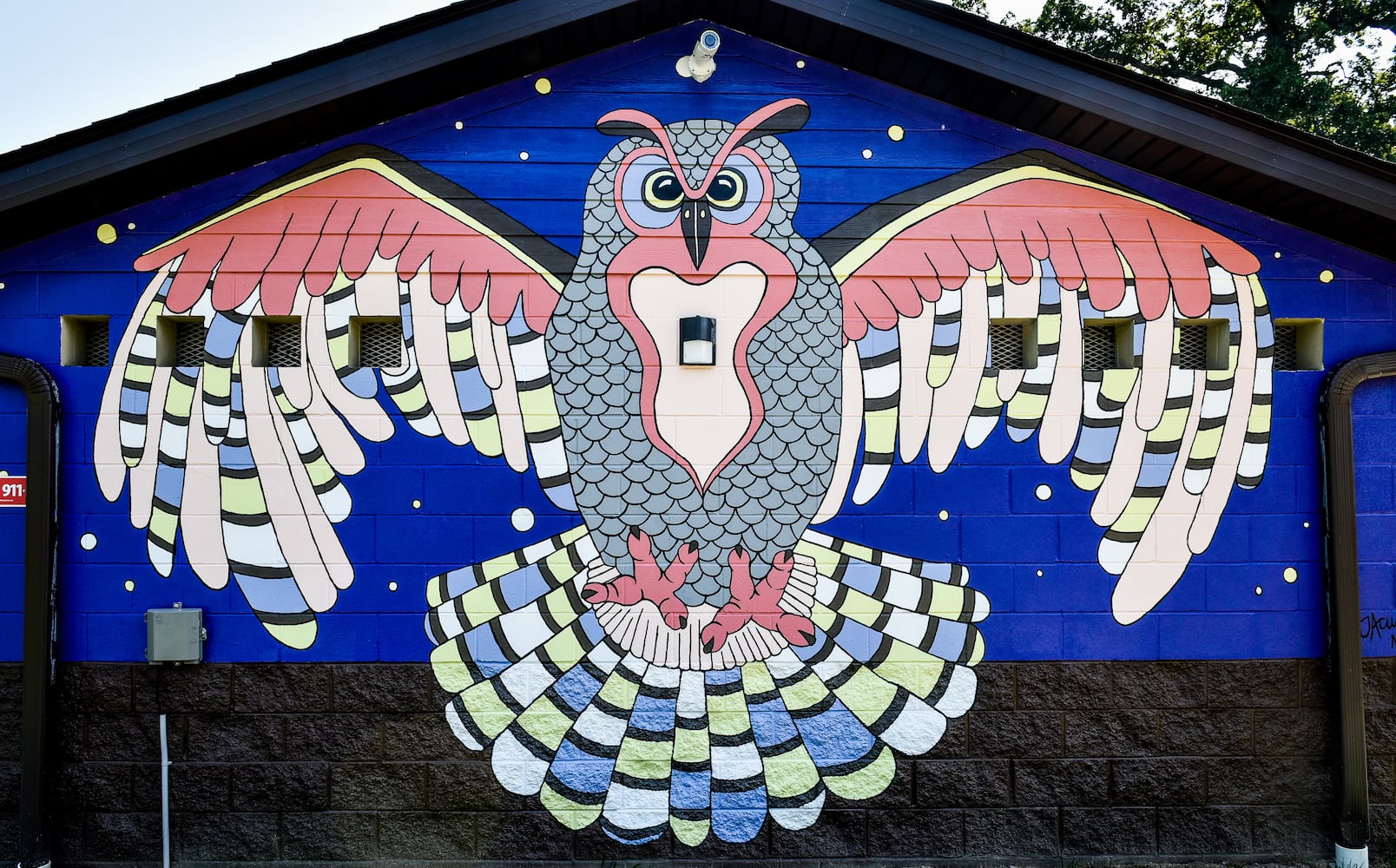 Murals add a splash of color to Hamilton buildings