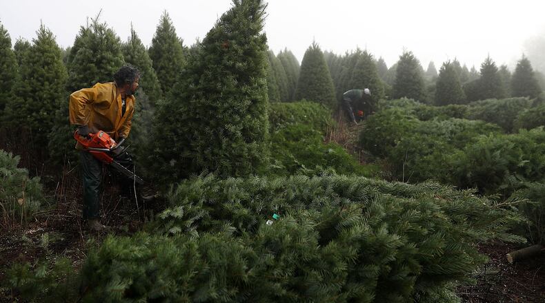 Consumers can expect higher Christmas tree prices this year because of a national shortage.