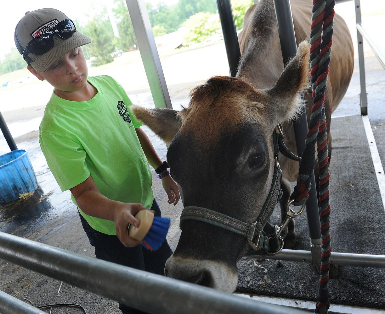 WARREN COUNTY FAIR