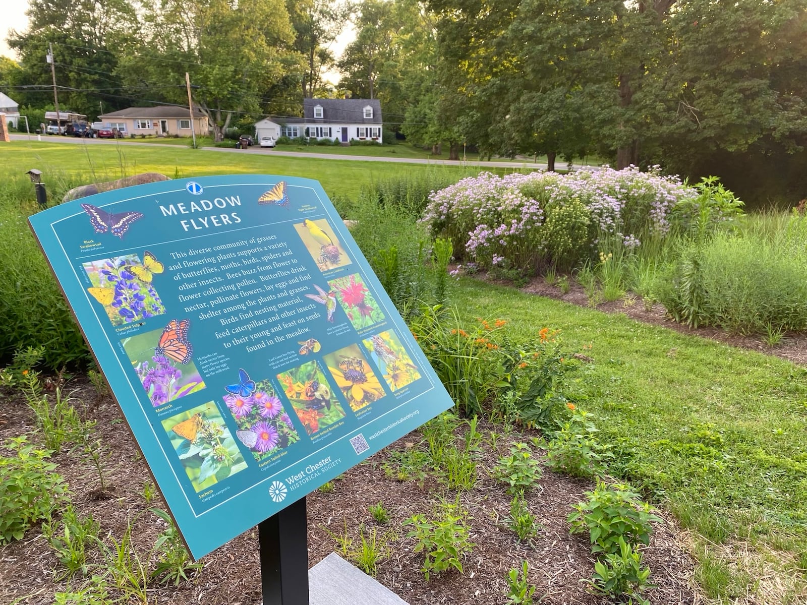 A new, historically themed garden is now open at the site of one of West Chester Twp.’s oldest school buildings. The former Station Road school house’s campus features a walk-through garden display – including a giant bison statue, horse-drawn wagon, last-century wind mill – showcasing native flowers and other plants from the township’s past. (Photo by Michael D. Clark/Journal-News)