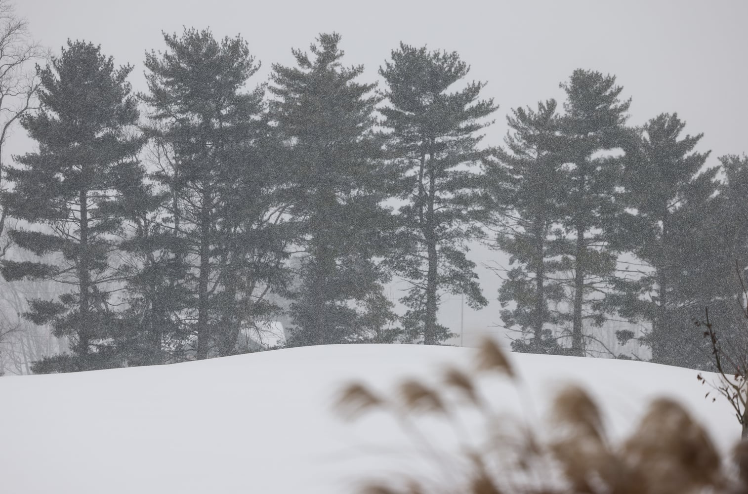 012526 Snow Butler County