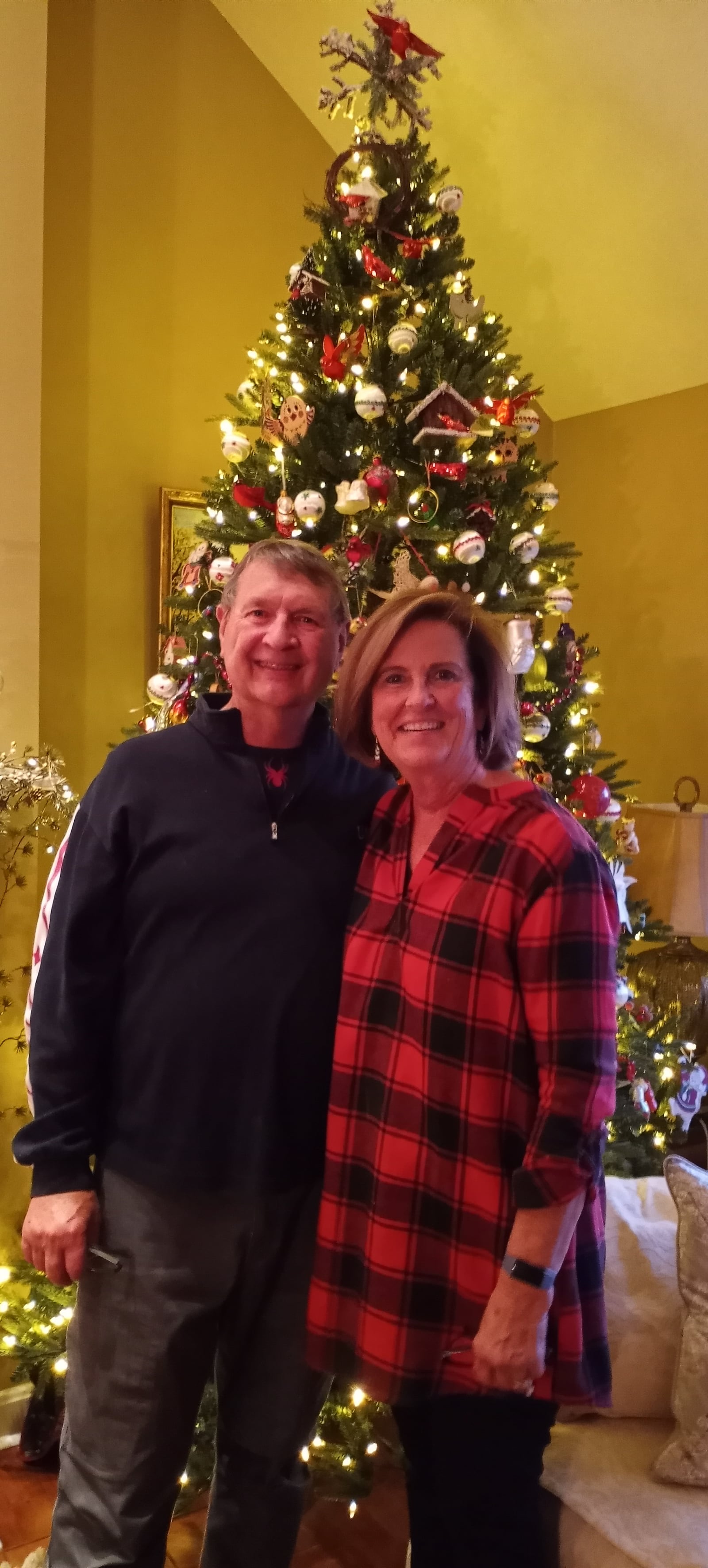 Anita and Doug Wales stand in front of their animal- and bird-themed Christmas tree. CONTRIBUTED