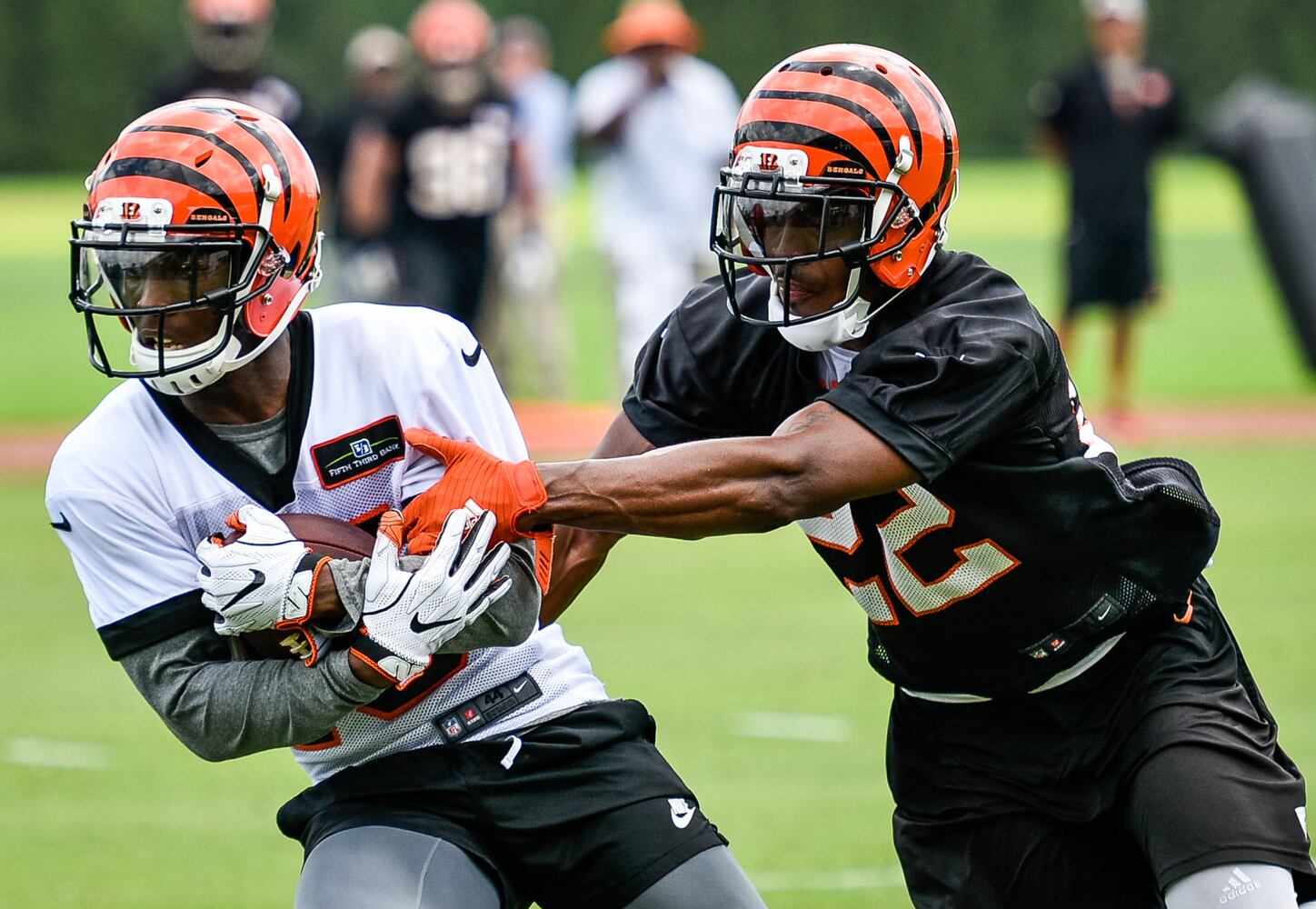 Cincinnati Bengals OTA