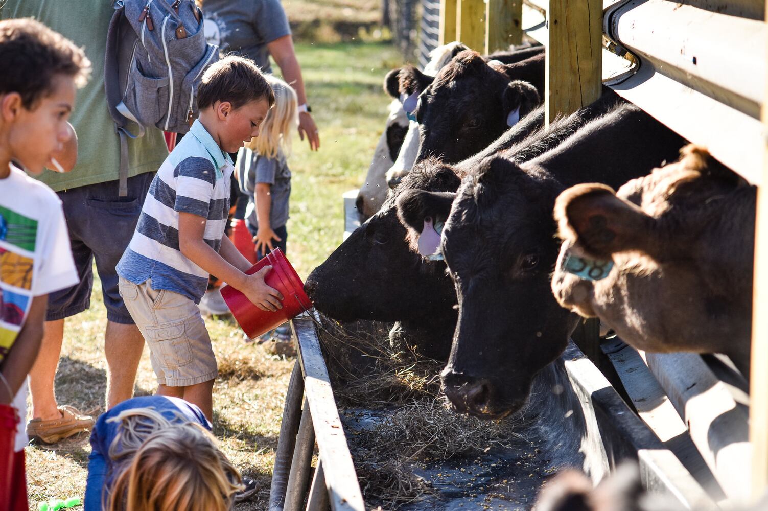 Jackson Family Farm offers visitors a chance to learn about farm life