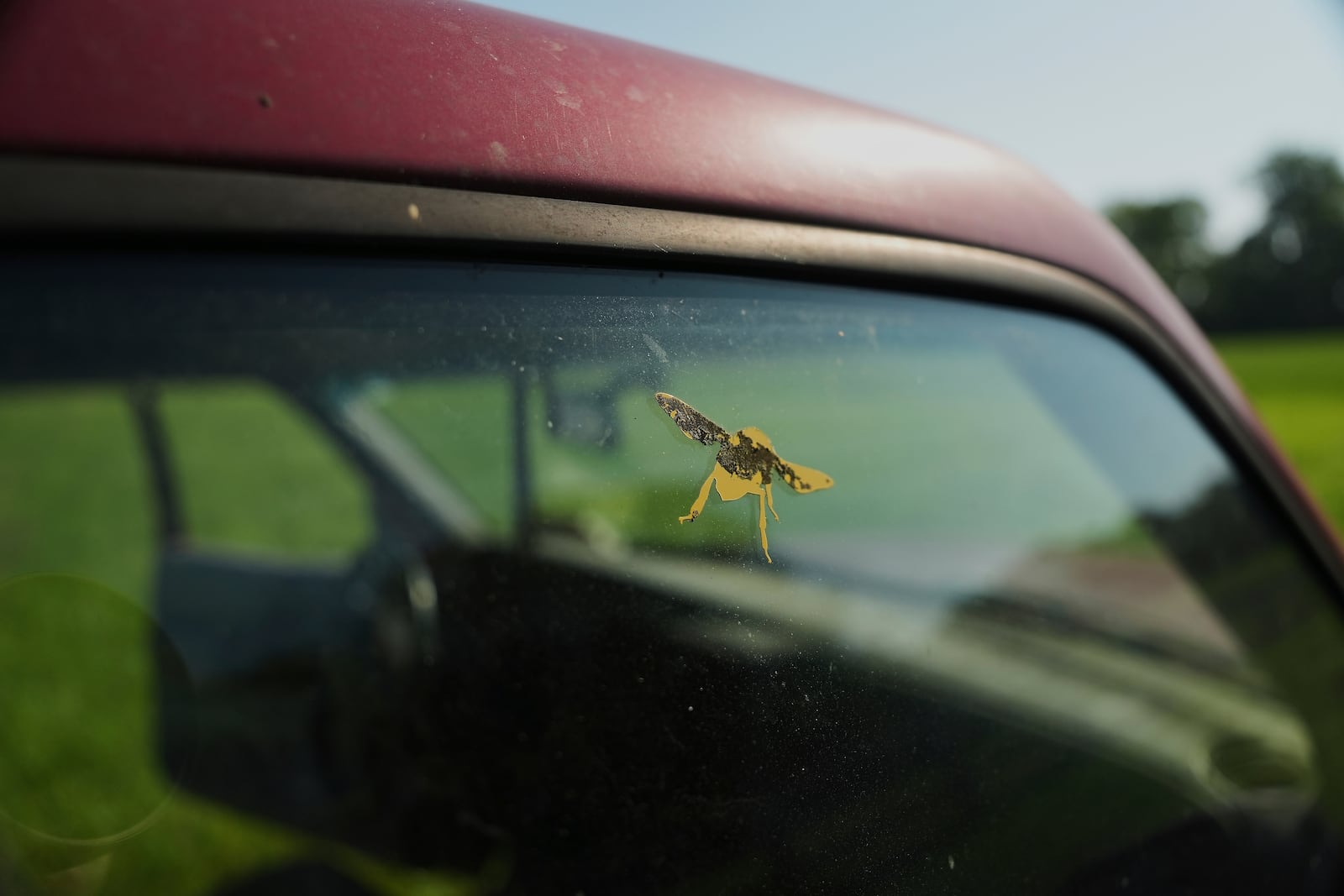 A bee-shaped sticker sits on a truck window Tuesday, June 24, 2025, in Williamsport, Ohio. (AP Photo/Joshua A. Bickel)