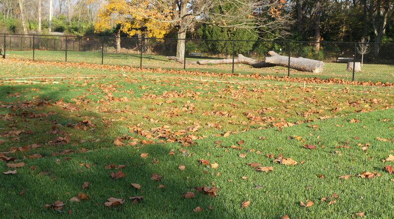 The yellowish-green color lawn in the center is turfgrass rust on a mix of Kentucky bluegrass. CONTRIBUTED BY PAMELA CORLE-BENNETT