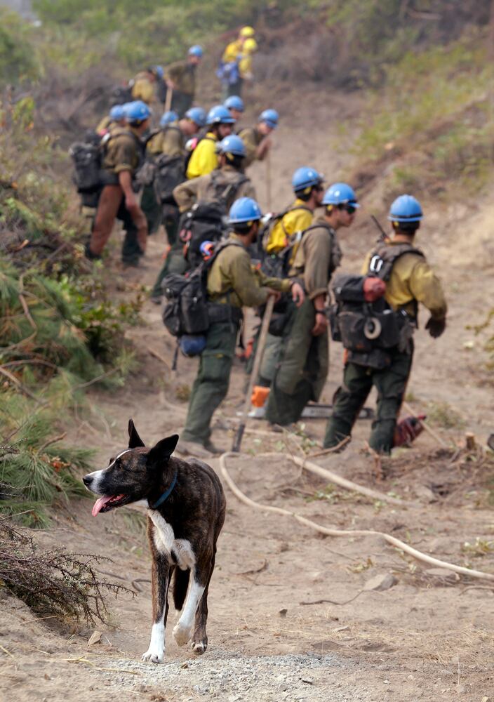 News hounds (9/3/15)