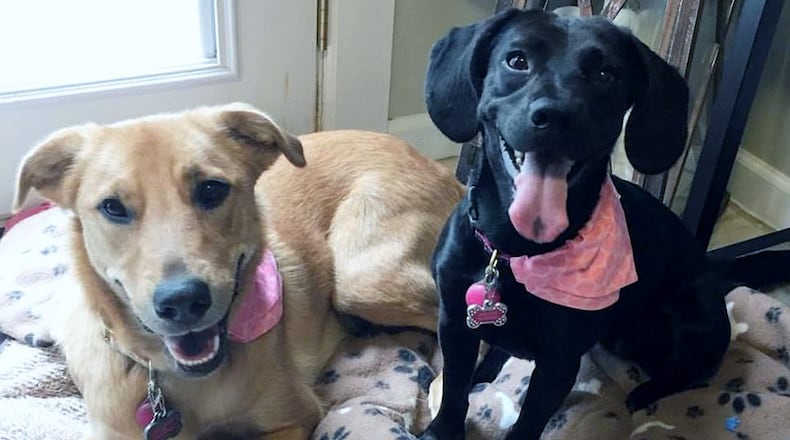 Anna Bella (left) and Rita (right). “Did we hear you say “out.” SIERRA FOX