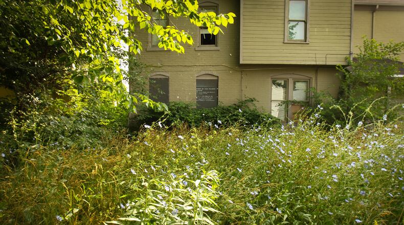 In Fairfield, all obnoxious weeds, brush, stumps and other vegetative overgrowth must be cut down and disposed of properly, according to city code. STAFF FILE PHOTO