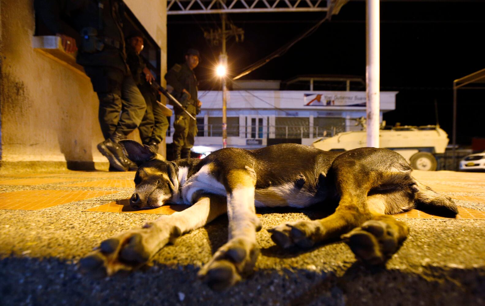 News hounds (9/10/15)