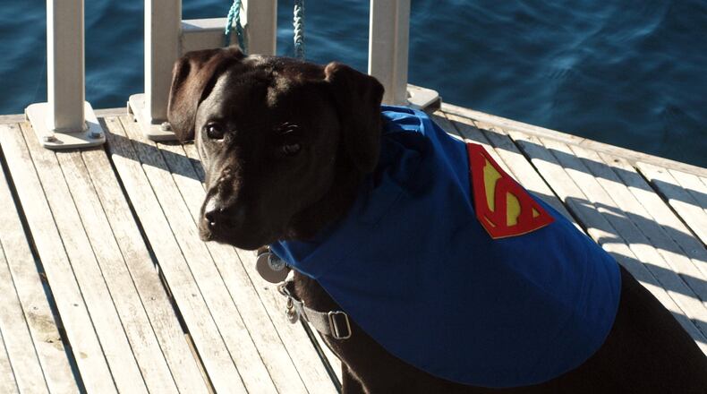 There is a superhero in all of us, we just need the courage to put on the cape like Superman. KARIN SPICER