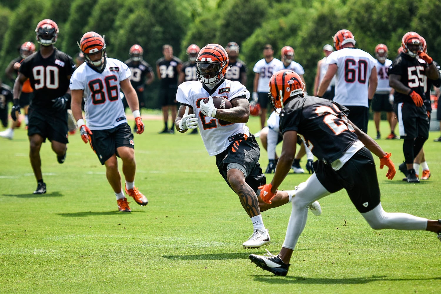 Cincinnati Bengals OTA