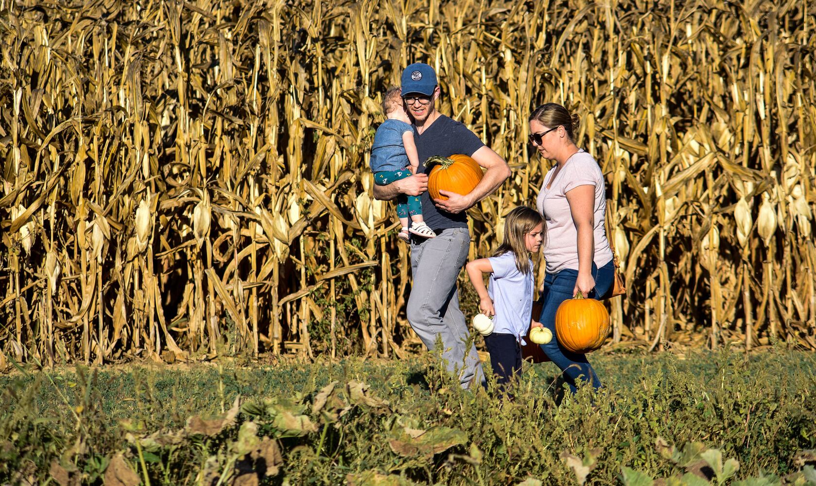 Jackson Family Farm offers visitors a chance to learn about farm life